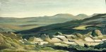 Loosely Devil's Backbone 24 X 16.jpg