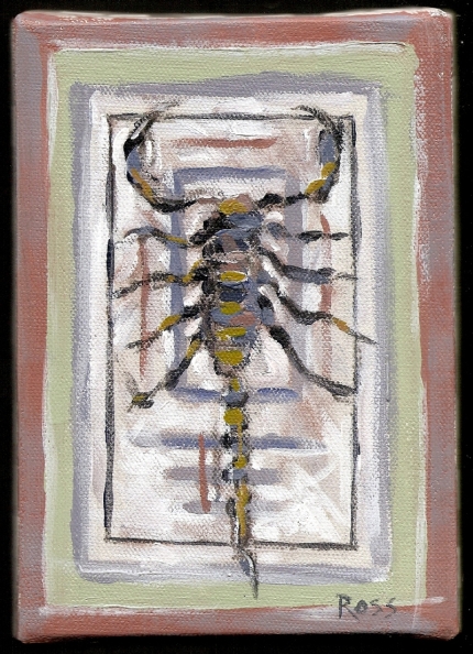 Scorpion 5 X 7.jpg, 234 kB