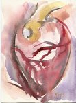 Corazon 5 X 7.jpg